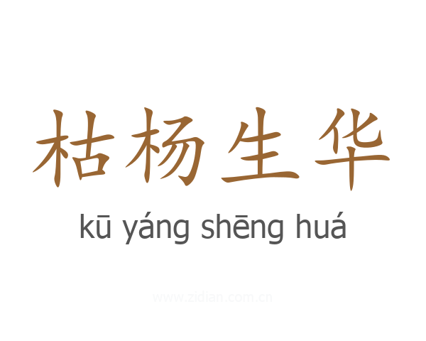 枯杨生华