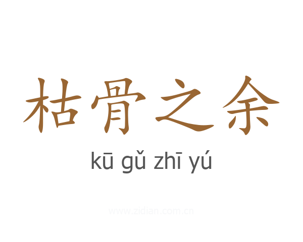 枯骨之余