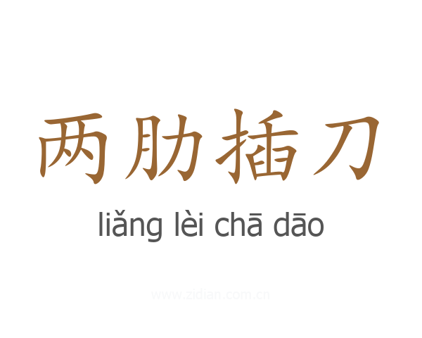 两肋插刀