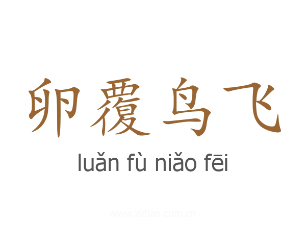卵覆鸟飞