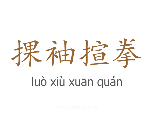 捰袖揎拳
