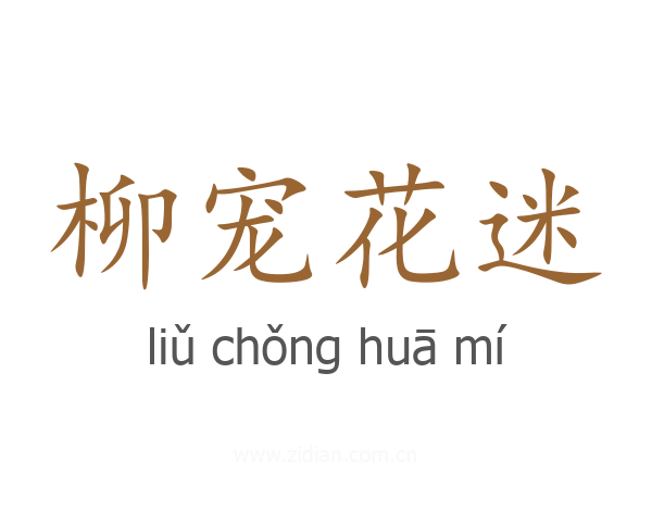 柳宠花迷