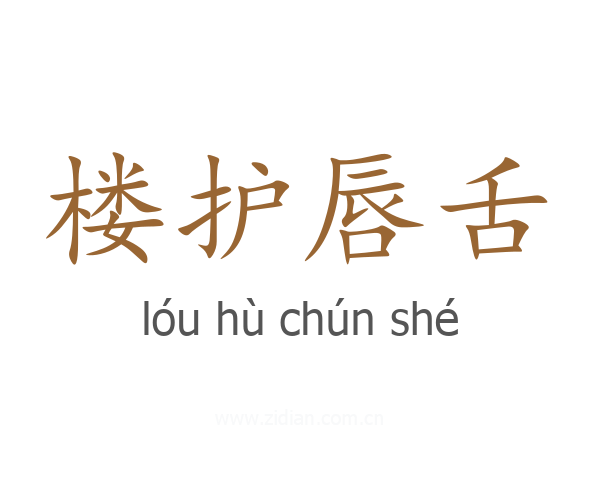 楼护唇舌