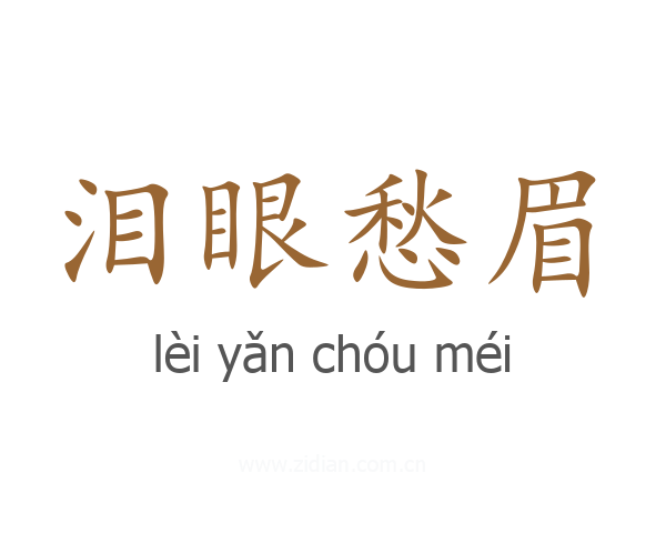 泪眼愁眉