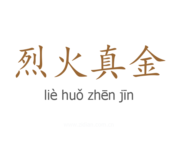 烈火真金