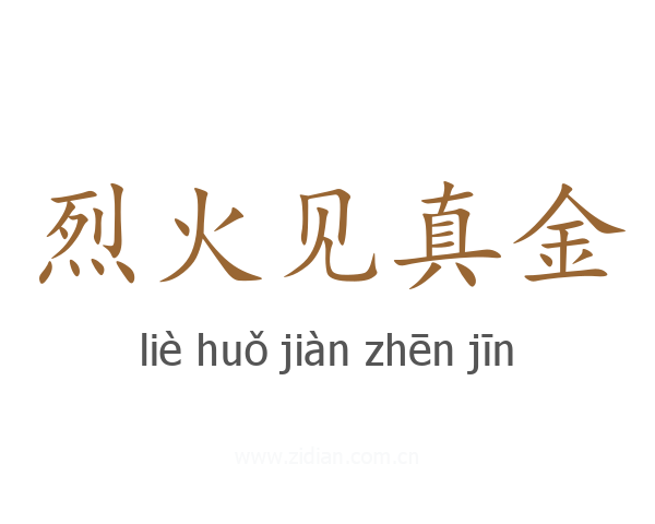 烈火见真金