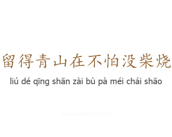留得青山在不怕没柴烧