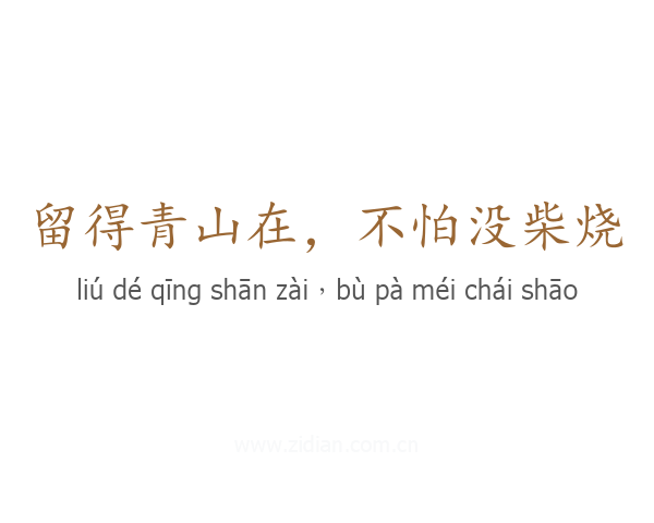 留得青山在,不怕没柴烧