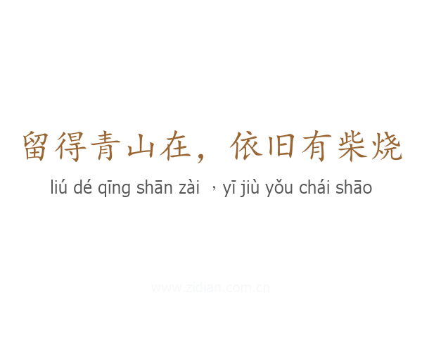 留得青山在,依旧有柴烧