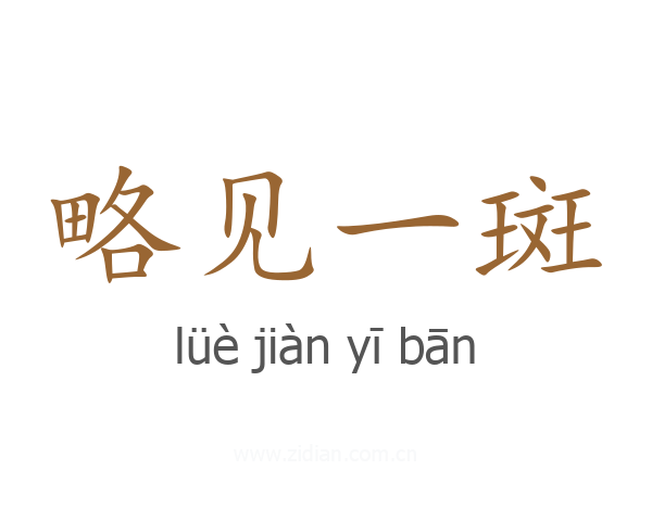 略见一斑