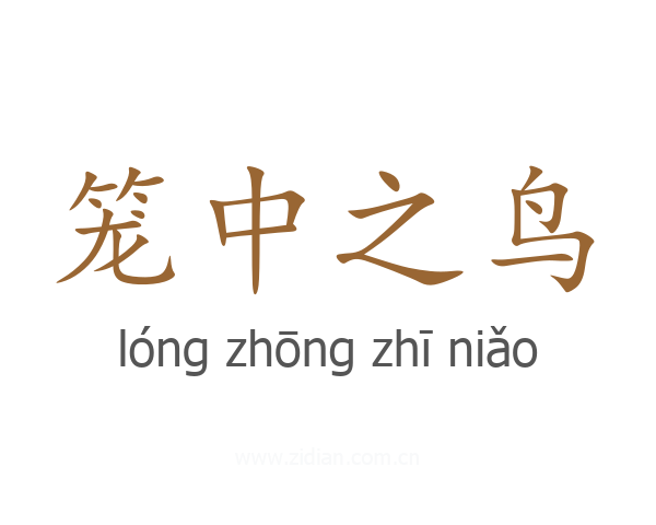 笼中之鸟