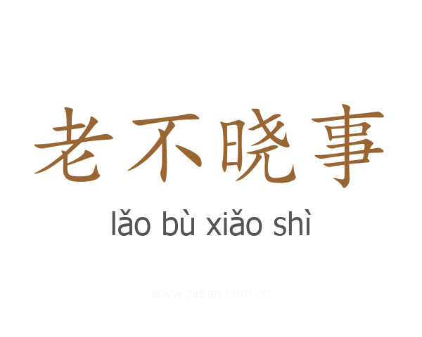 老不晓事