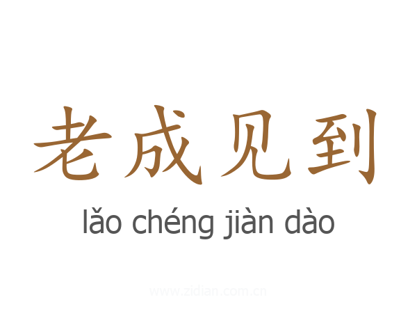 老成见到