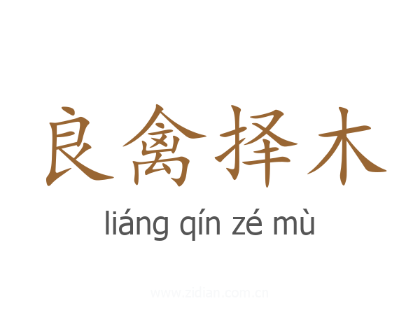 良禽择木