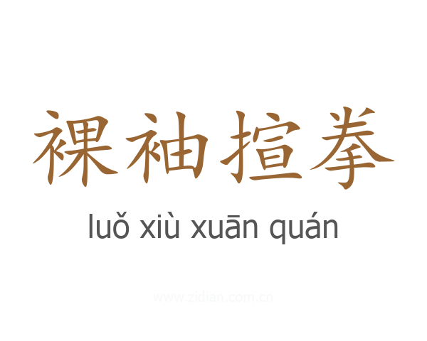 裸袖揎拳