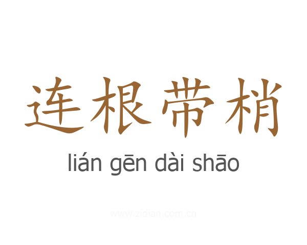 连根带梢