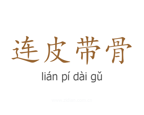 连皮带骨