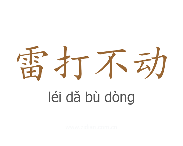 雷打不动