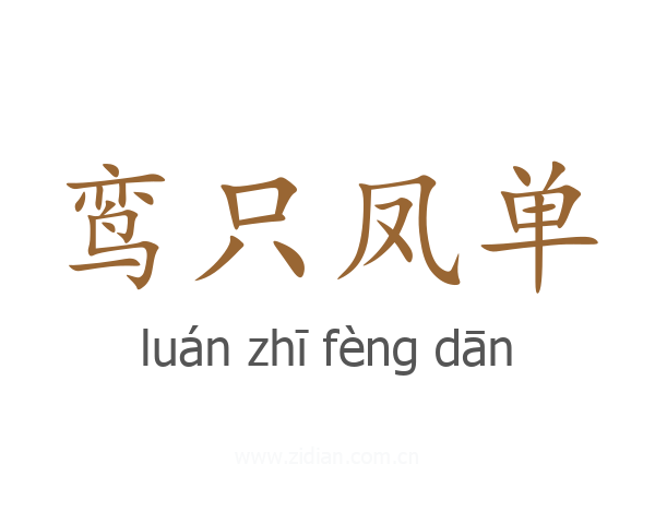 鸾只凤单