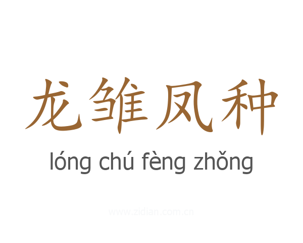 龙雏凤种