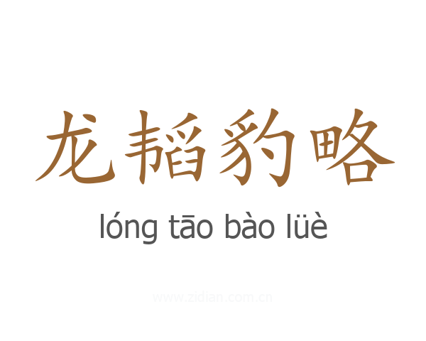 龙韬豹略