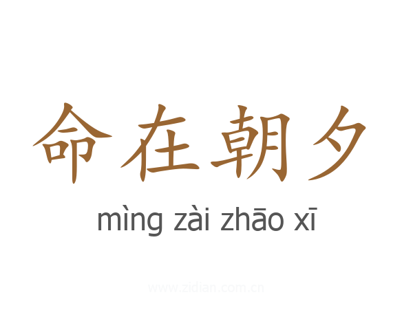 命在朝夕
