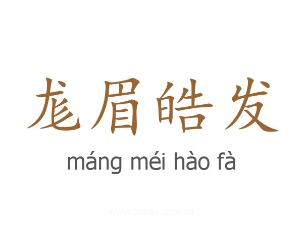 尨眉皓发