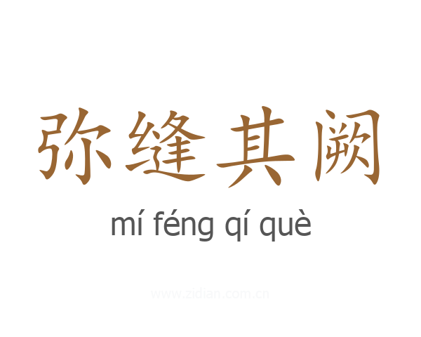 弥缝其阙