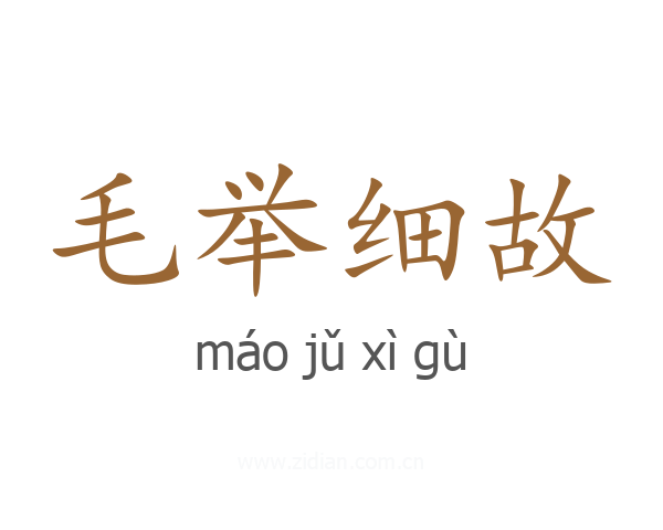 毛举细故