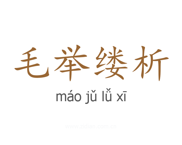 毛举缕析
