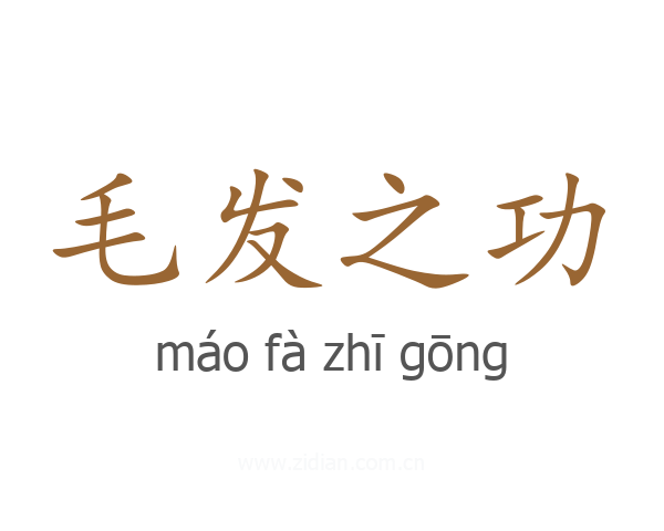 毛发之功