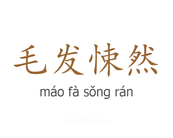 毛发悚然