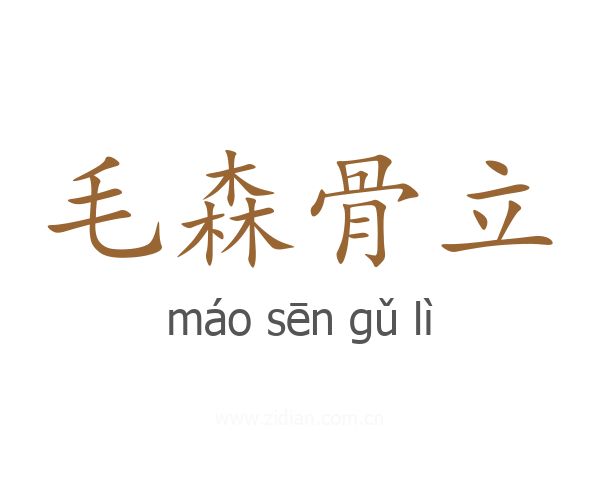 毛森骨立