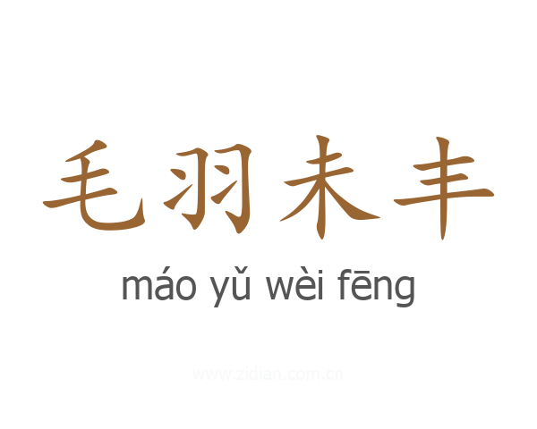 毛羽未丰