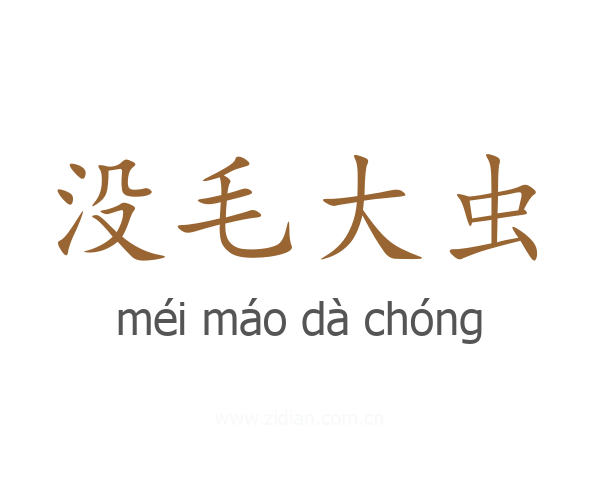 没毛大虫
