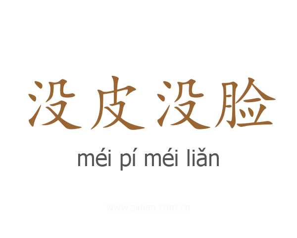 没皮没脸