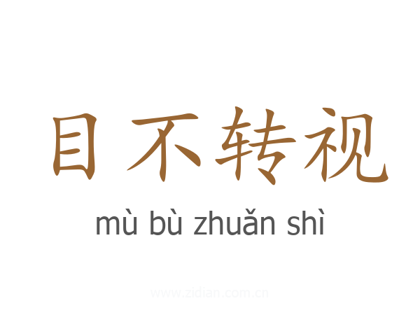 目不转视
