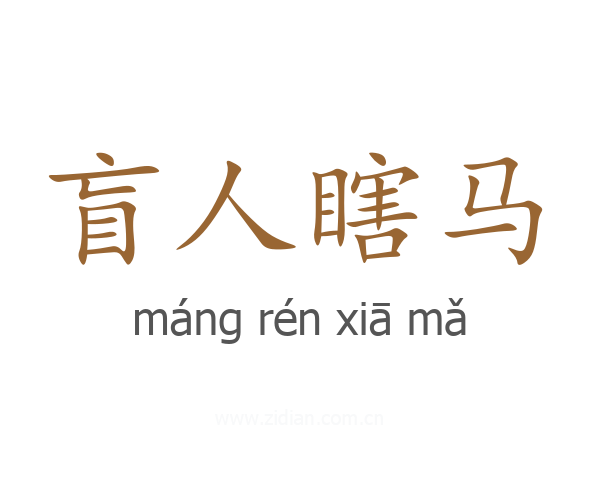 盲人瞎马