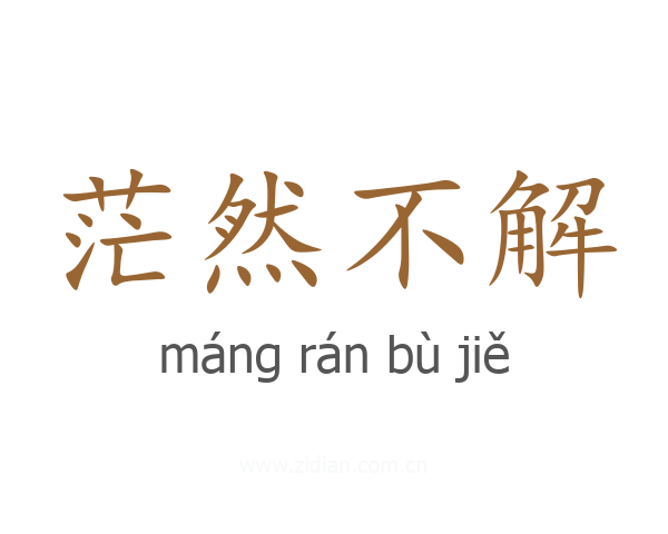 茫然不解