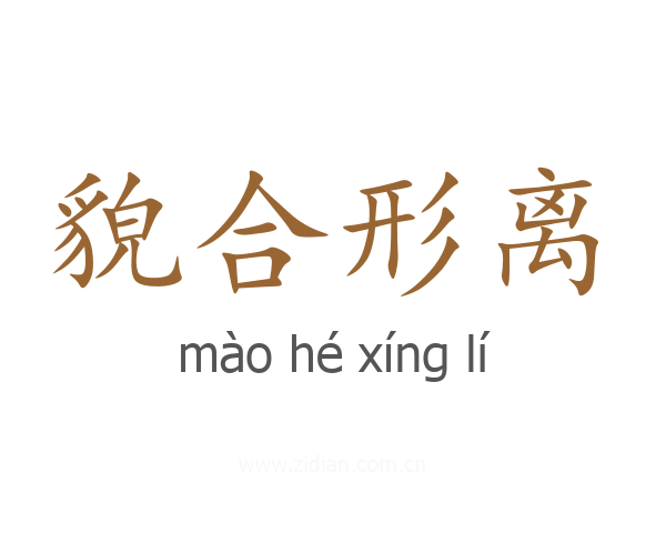 貌合形离