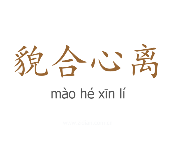 貌合心离