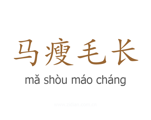 马瘦毛长