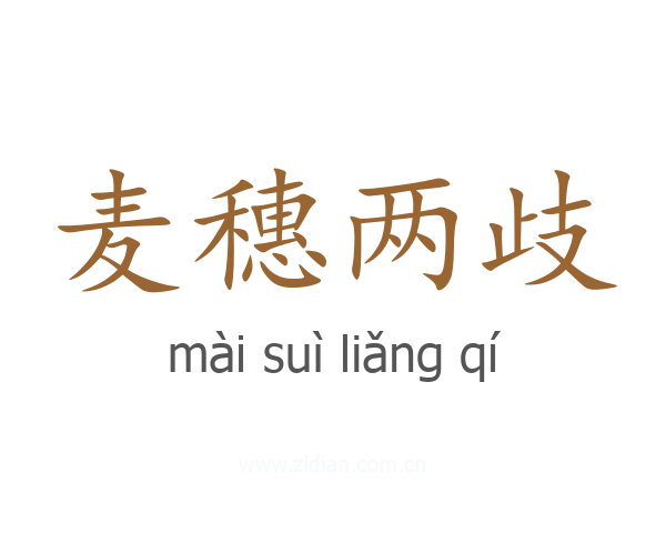 麦穗两歧