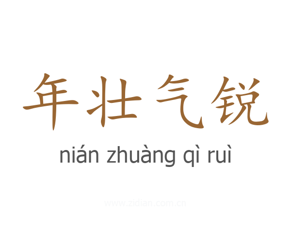 年壮气锐