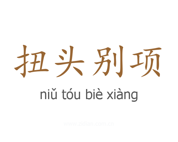 扭头别项