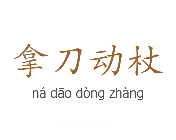 拿刀动杖