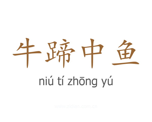 牛蹄中鱼