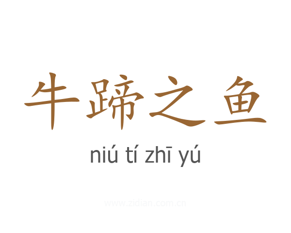 牛蹄之鱼