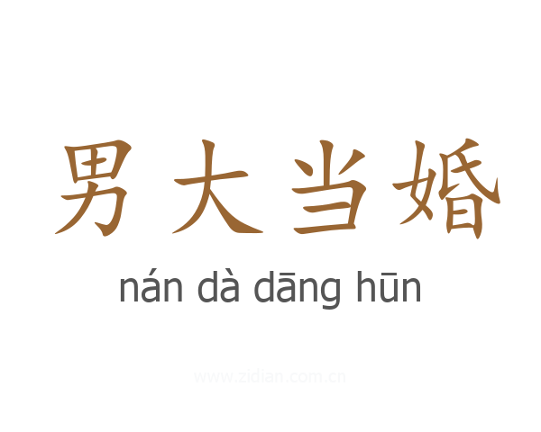 男大当婚