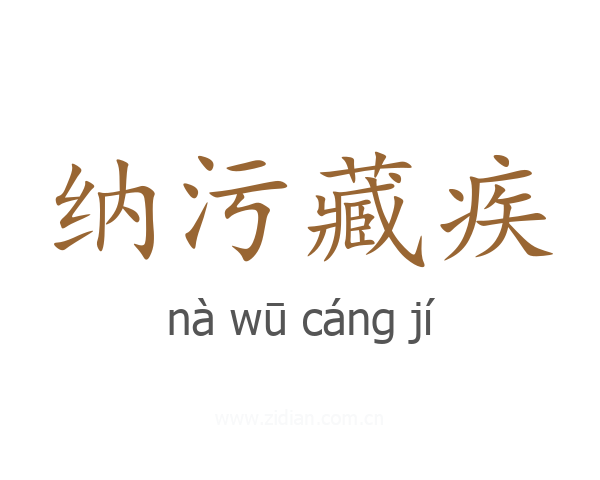 纳污藏疾